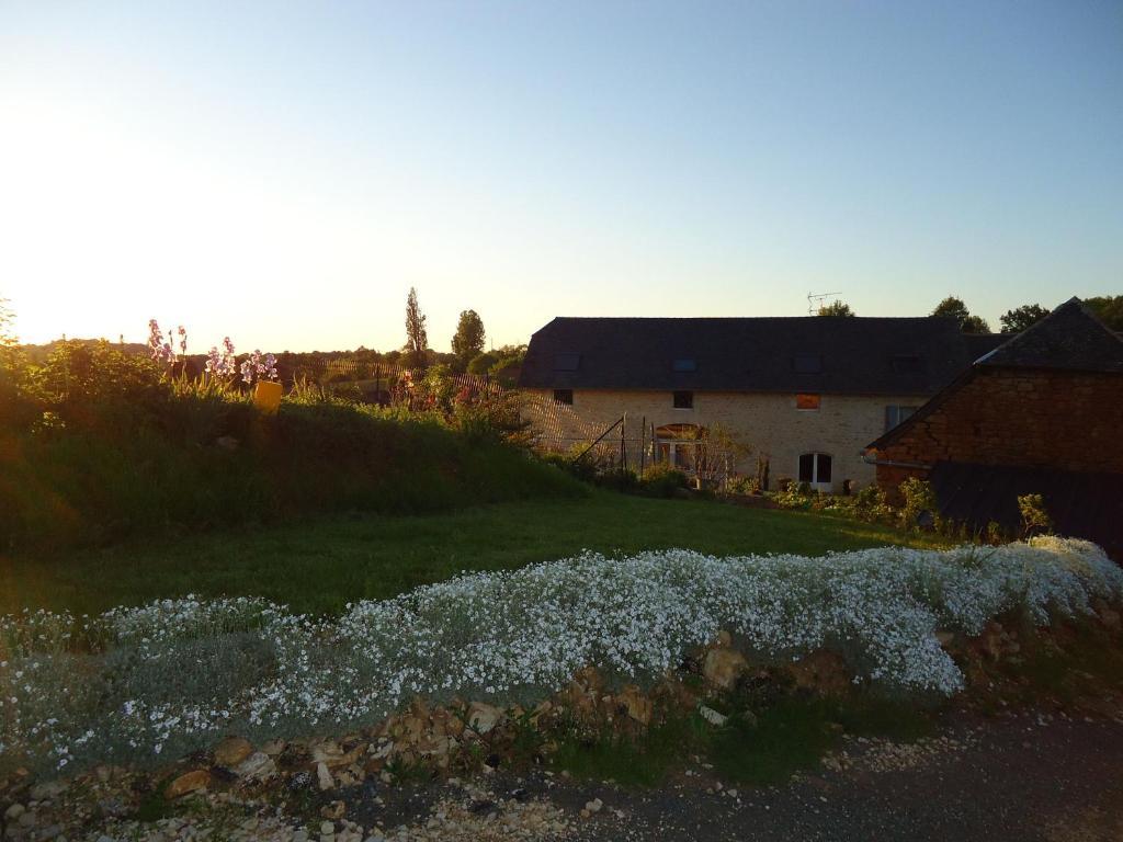Maison D'Hotes La Maison De Leopold Terrasson 외부 사진